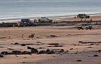 01-Cable Beach in Broome